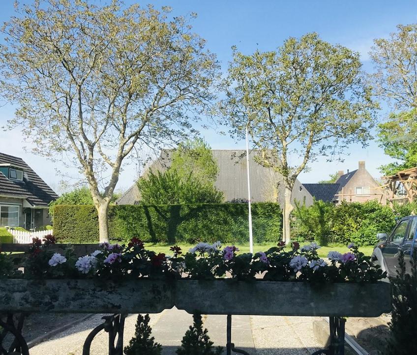 De Fryske Wyn Bed & Breakfast Ferwerd Exterior photo